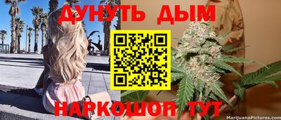 прущие крисы Будённовск