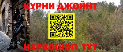 прущие крисы Будённовск