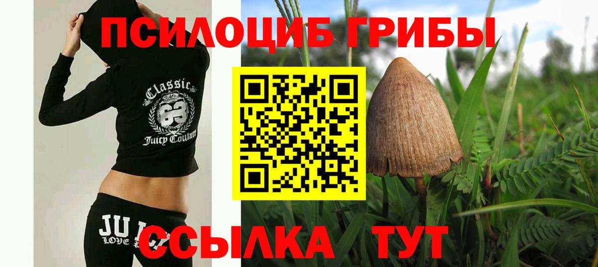 Псилоцибиновые грибы прущие грибы  Галлюциногенные грибы мухоморы  Муром  Вход с VPN 