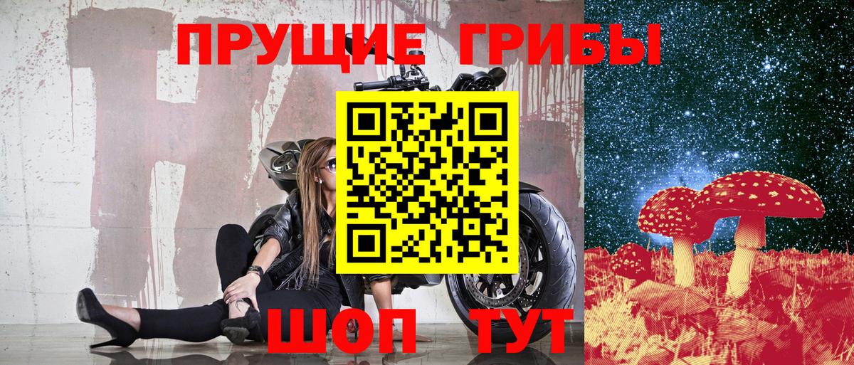 Псилоцибиновые грибы Psilocybine cubensis Муром